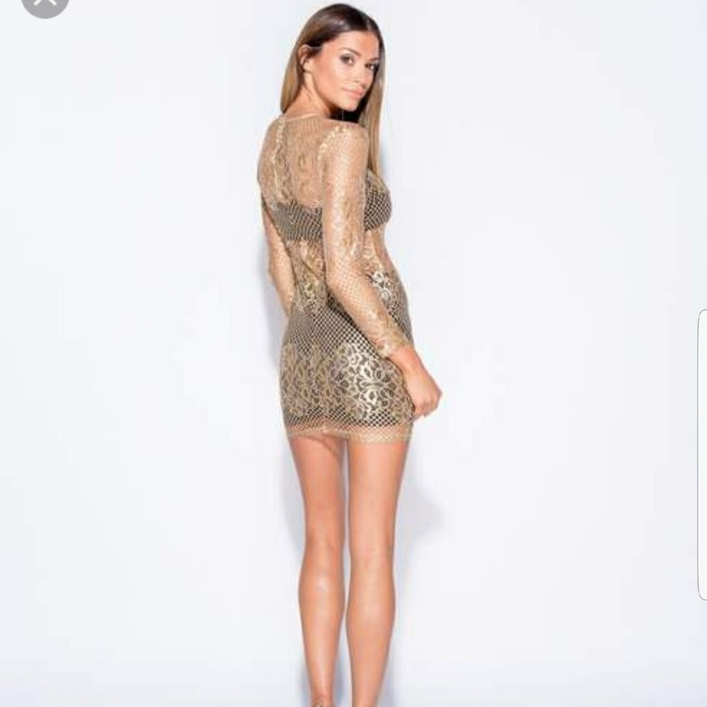 Metallic Lace Paneled Bodycon Dress - Picture 4 of 5